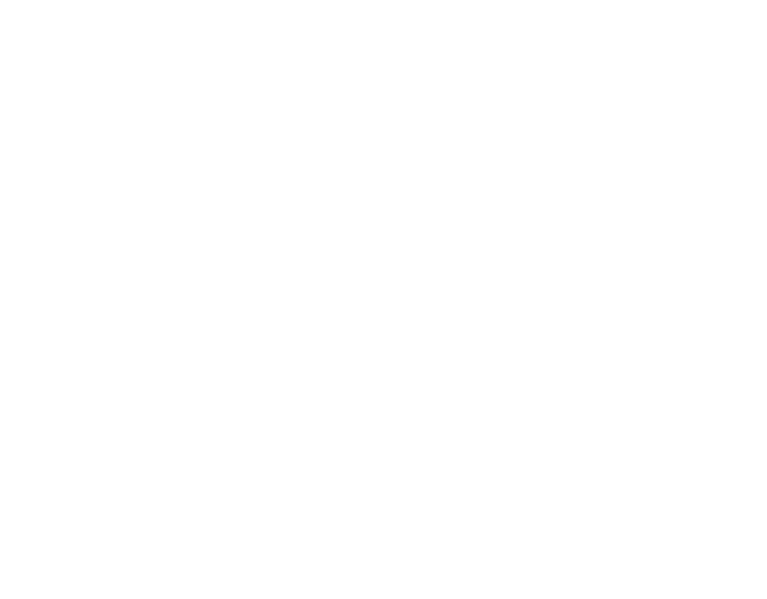 DOMO BAIE logo