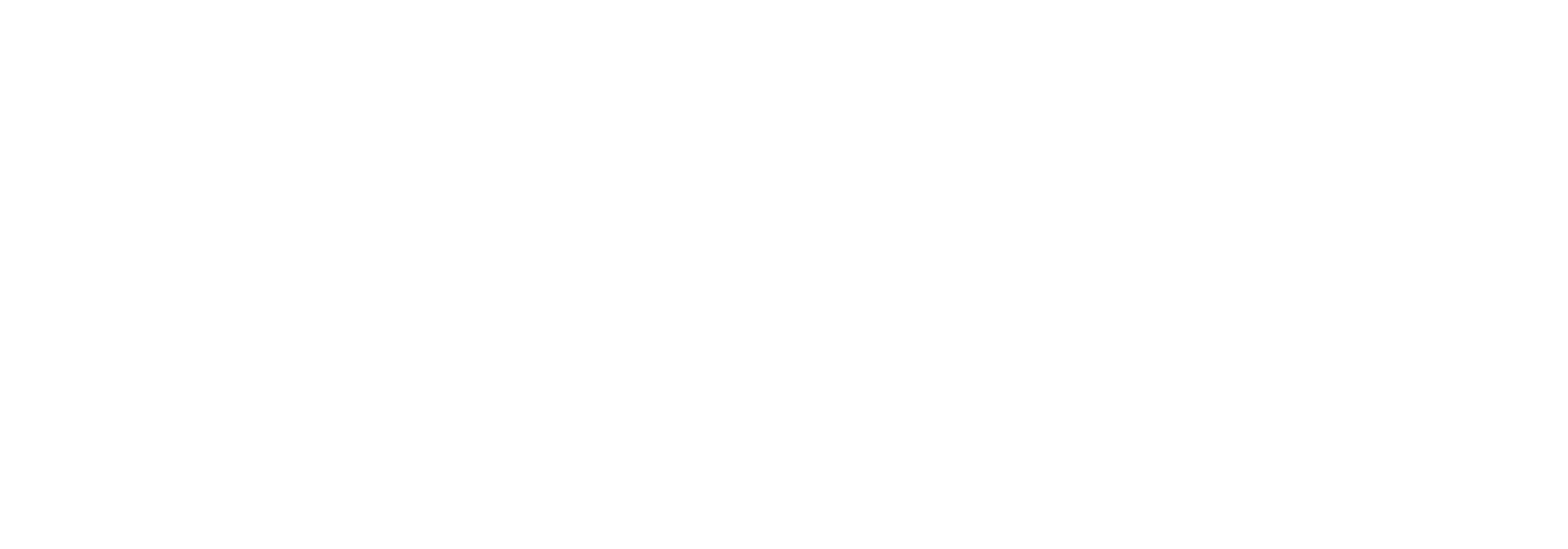 IProtects Logo